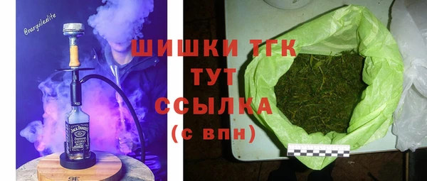 гашик Алексеевка