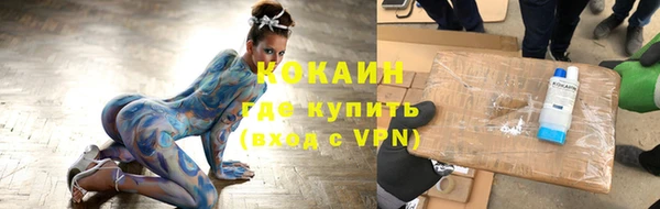 гашик Алексеевка