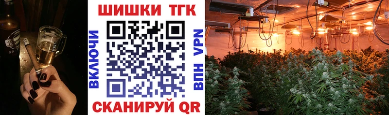 где найти наркотики  Приморск  Шишки марихуана Bruce Banner 